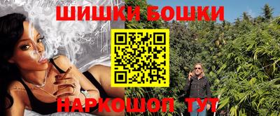 spice Кингисепп