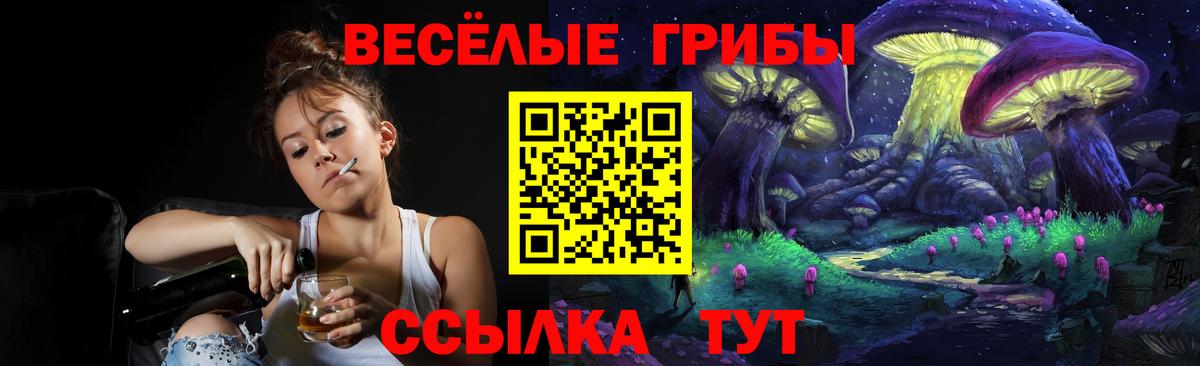 Псилоцибиновые грибы MAGIC MUSHROOMS  Вход с VPN  Галлюциногенные грибы GOLDEN TEACHER  Усть-Илимск 